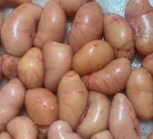 Chicken Kidney