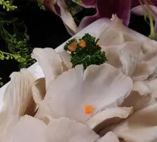 Enoki Mushroom