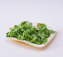 Cilantro