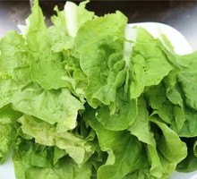 Lettuce