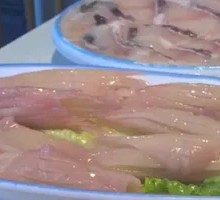 Fire Scissors Squid