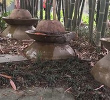 Kimchi Jar