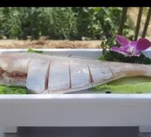 Premium Catfish