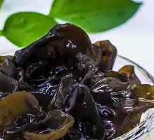 Free-Style Black Fungus