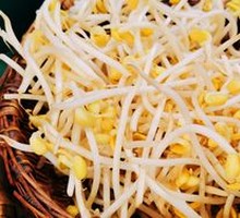 Bean sprouts
