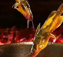 Yellow Croaker