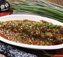 Golden Douban Fish