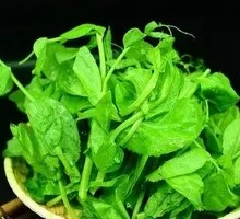 Pea Shoots