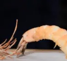 Black Tiger Shrimp Tempura
