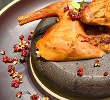 Young Pigeon with Milk