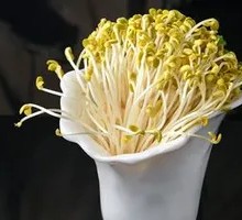Water Jar Bean Sprouts