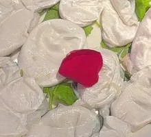 Fish Bladder