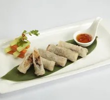 Spring Rolls
