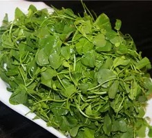 Pea Shoots