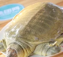 Hot Braised Turtle
