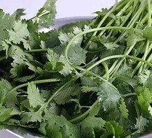 Cilantro