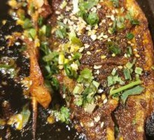 Crucian Carp