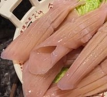 Rocket Squid