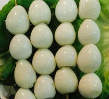 Quail Egg