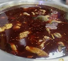 Flower Carp