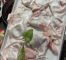 Fresh Fish Bladder