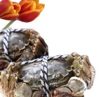 Premium Female Crab