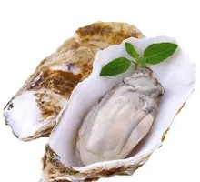Rushan Oyster