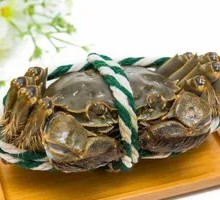 Fresh Live Female Crab
