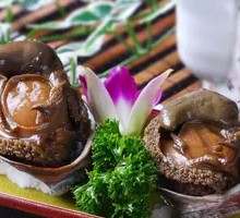 Live Fresh Abalone 15-head (1 piece)