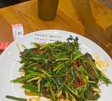 Cumin Stir-fried Beef with Coriander
