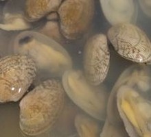 Clam