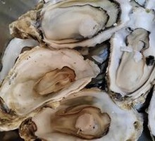 Rushan Oyster