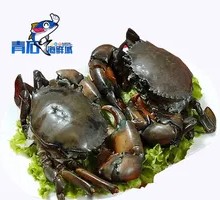 Burma Crab