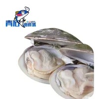 Large Clam