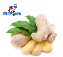 Ginger