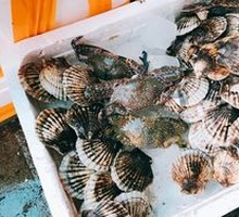 Scallop