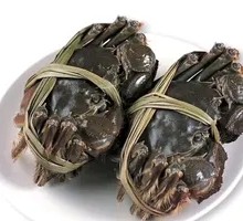 Freshwater Crab