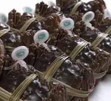 Premium Mixed Male and Female Freshwater Crabs