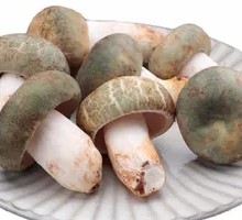 Fresh Blue-headed Mushroom