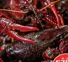 Large Fresh Lobster