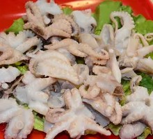 Chrysanthemum Octopus