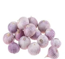 Single Garlic Dish