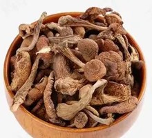 Special Chestnut Mushroom