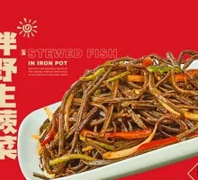 Mixed Wild Fern Salad