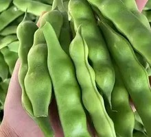 Northeastern Fried Green Beans