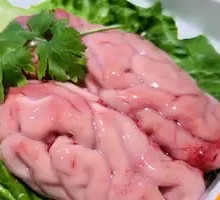 Fresh Brain Tissue