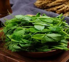 Fresh Pea Shoots