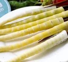 Bamboo Shoot