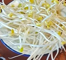 Bean sprouts