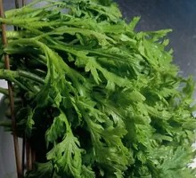 Chinese chrysanthemum greens